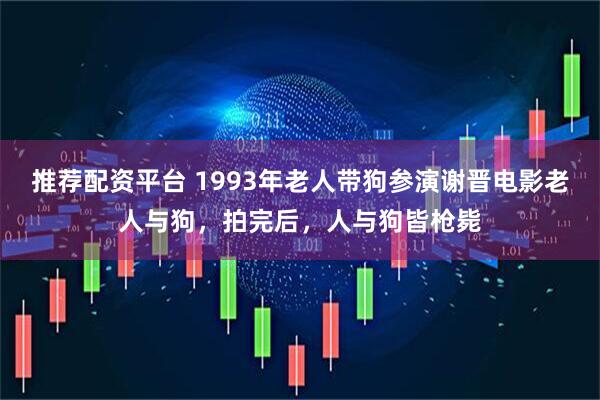 推荐配资平台 1993年老人带狗参演谢晋电影老人与狗，拍完后，人与狗皆枪毙